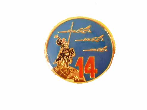 Pin Escuadrón Ala 14